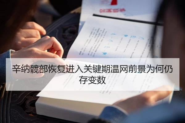 辛纳髋部恢复进入关键期温网前景为何仍存变数