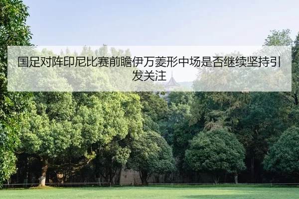 国足对阵印尼比赛前瞻伊万菱形中场是否继续坚持引发关注