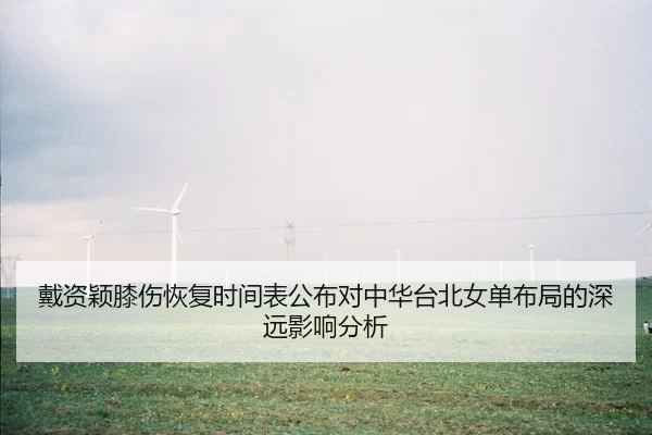 戴资颖膝伤恢复时间表公布对中华台北女单布局的深远影响分析
