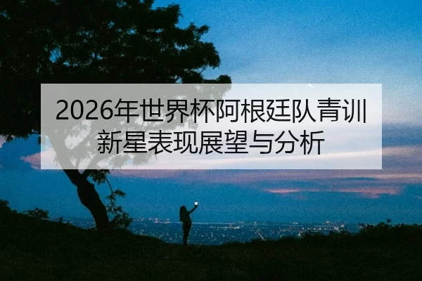 nian-shi-jie-bei-a-gen-ting-dui-qing-xun-xin-xing-biao-xian-zhan-wang-yu-fen-xi-2-301.jpg