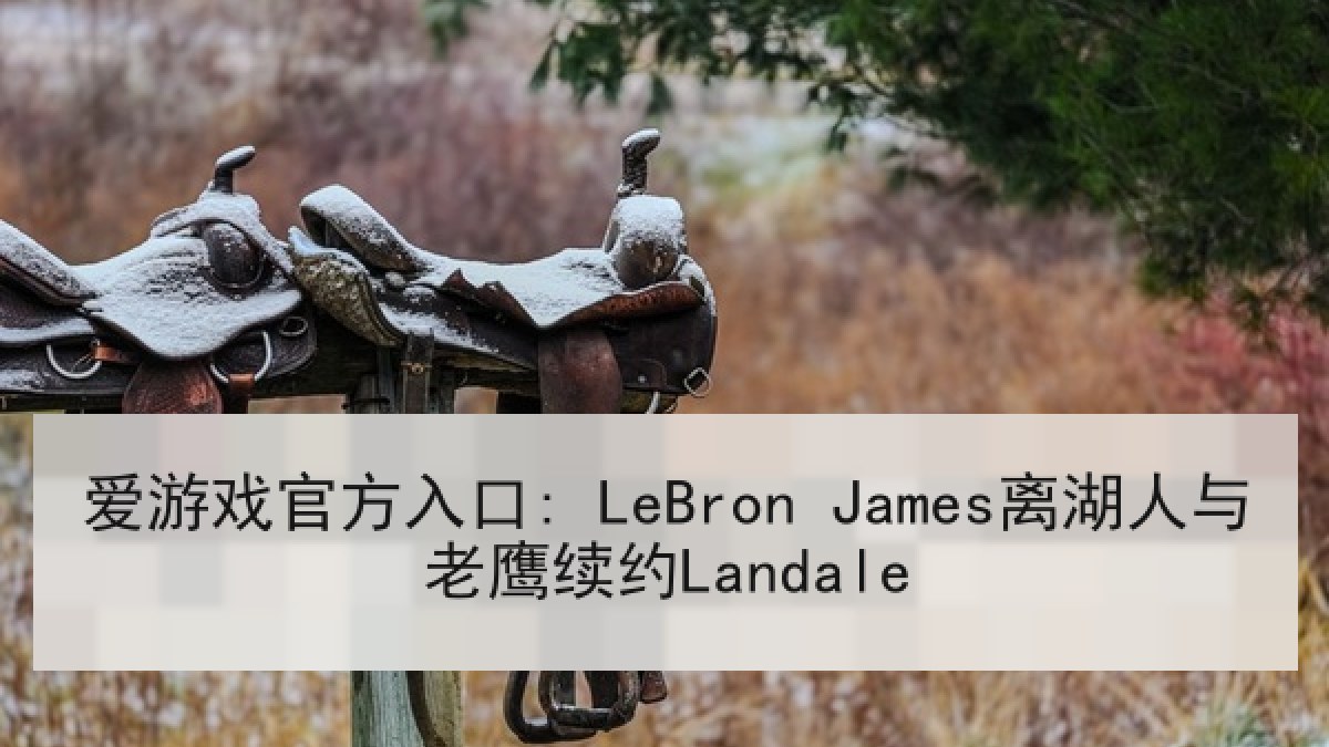 爱游戏官方入口: LeBron James离湖人与老鹰续约Landale