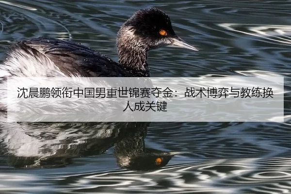 沈晨鹏领衔中国男重世锦赛夺金：战术博弈与教练换人成关键
