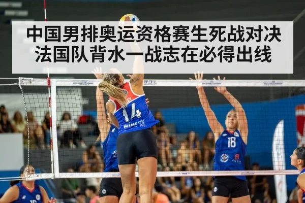 中国男排奥运资格赛生死战对决法国队背水一战志在必得出线